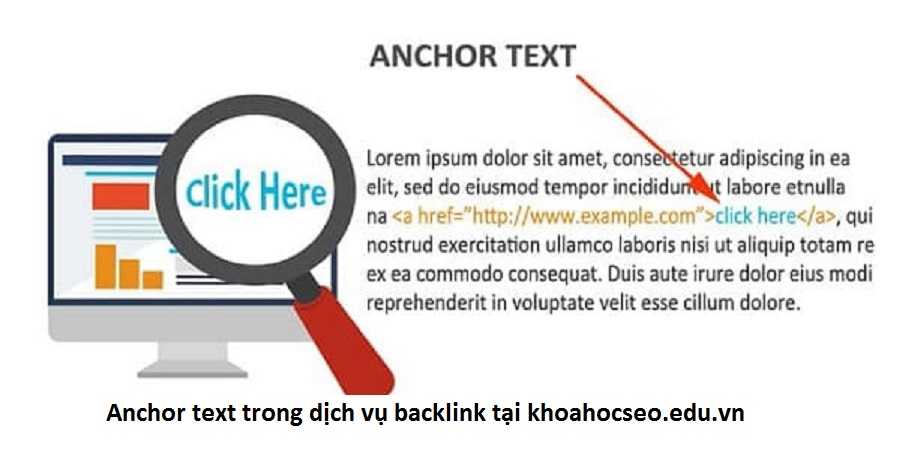 Anchor text trong dịch vụ backlink tại khoahocseo.edu.vn