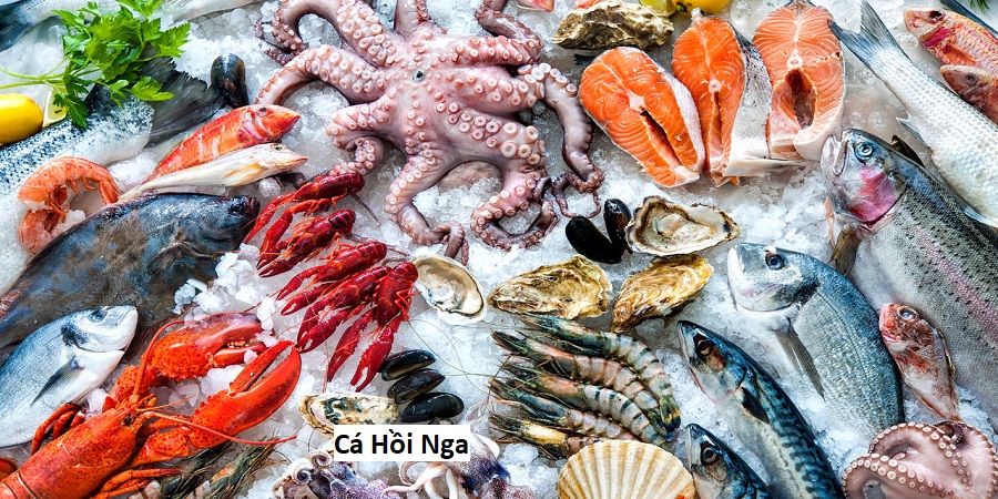 Cá Hồi Nga