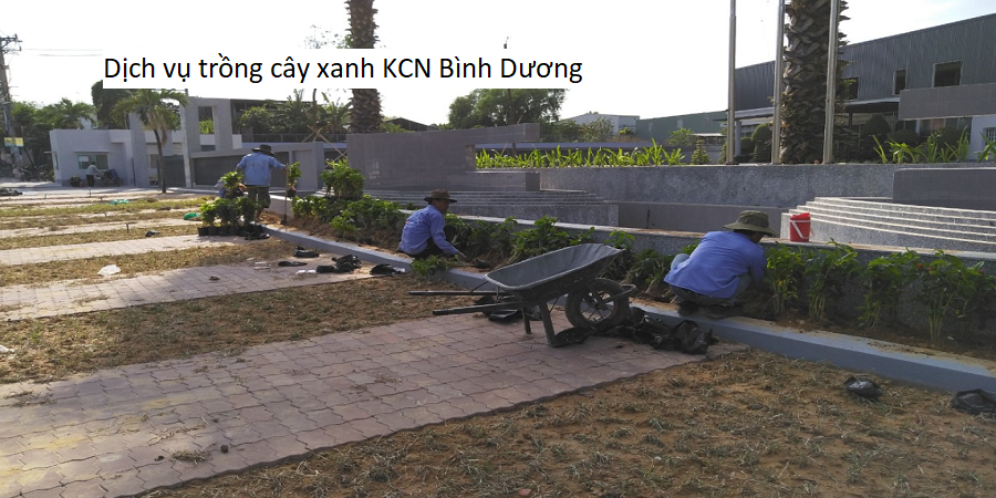 Dịch vụ trồng cây xanh KCN Bình Dương
