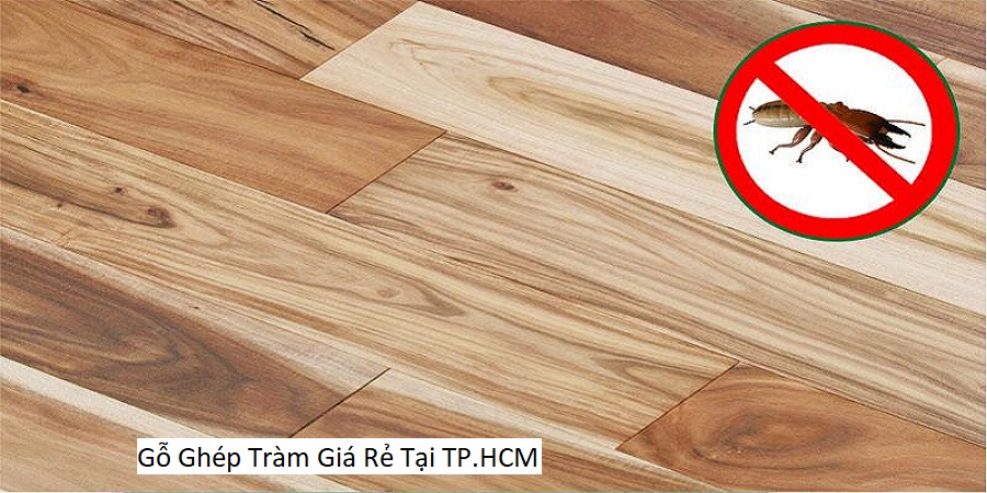 Gỗ Ghép Tràm Giá Rẻ Tại TP.HCM